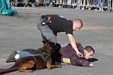 ARRESTATION POLICE 016